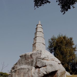 S__36216837